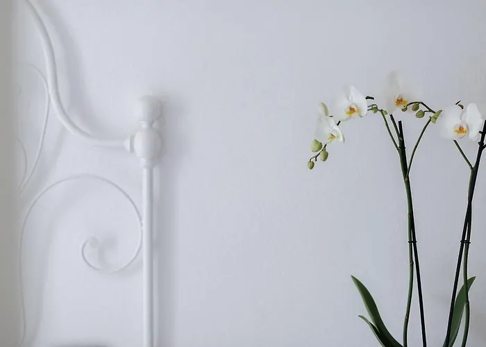 Dussaiga - Delle Rose Casa de hóspedes 3*