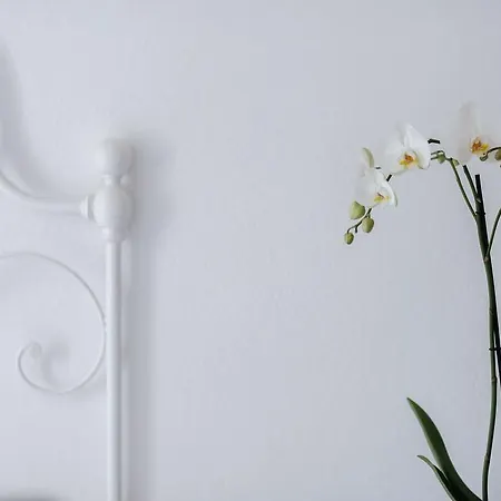 Dussaiga - Delle Rose Guest house *
